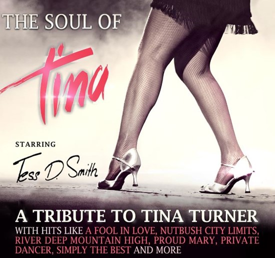 THE SOUL OF TINA - TINA TURNER TRIBUTE (UK)
